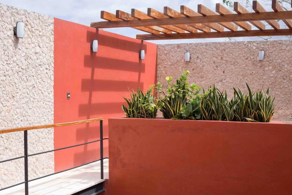 Casona Xtabay, En El Centro De Valladolid Villa Valladolid  Exteriör bild