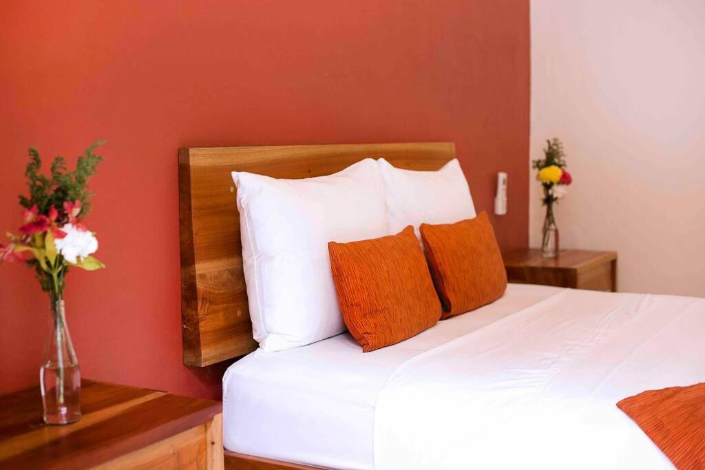 Casona Xtabay, En El Centro De Valladolid Villa Valladolid  Exteriör bild